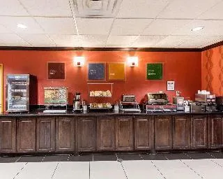 Comfort Suites Plano East - Richardson