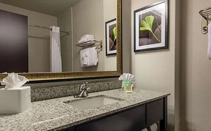 Holiday Inn Austin Airport By IHG