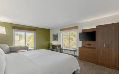 Holiday Inn Express Hotel & Suites Binghamton University-Vestal by IHG