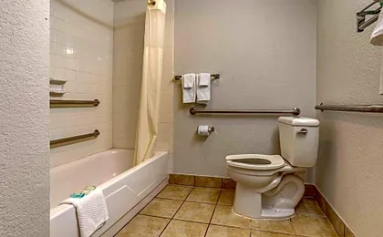 Quality Inn & Suites NRG Park - Medical Center