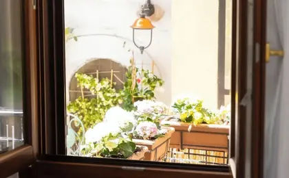 Rental in Rome Vicolo Trevi Apartment
