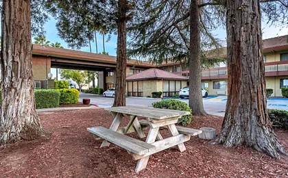 Best Western Orchard Inn