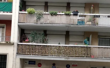 De la Terrasse