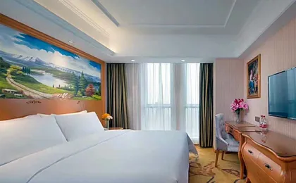 Vienna Hotel Wuhan Wujiashan Economic Development Zone