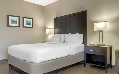 Comfort Inn & Suites Greer - Greenville