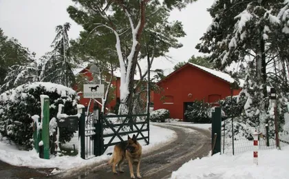 Tenuta Agricola Fonte di Papa (Adults only)