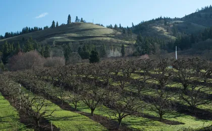 The Dalles Inn
