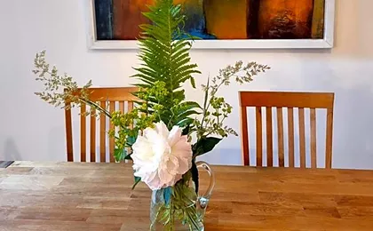 Hostel Lollis Homestay Dresden