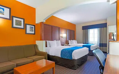 Comfort Suites Stevensville - St. Joseph