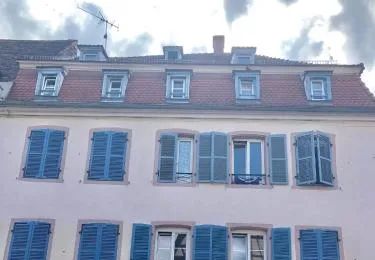 Sous les toits du Zinc - Climatisé