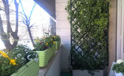 Luxury Property in Vatican Area-Hanini House-