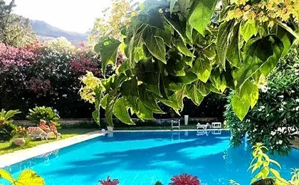 Villa Megna - Green Paradise BB