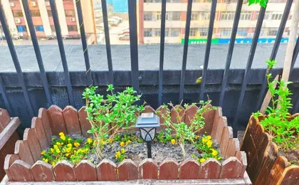 Mijia International Youth Hostel (Shanghai People's Square)