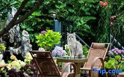 Fangxinju · Youfeng Four Seasons | Aroma Garden Scenic Vacation Boutique Stay (Gucheng South Gate)