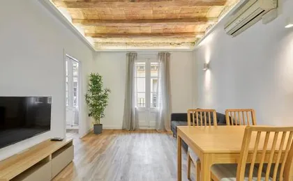 Ro Lively and bright apartment next to Blai st