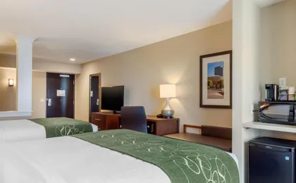 Comfort Inn & Suites Schenectady -Scotia