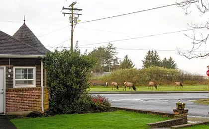 Ecola Creek Lodge