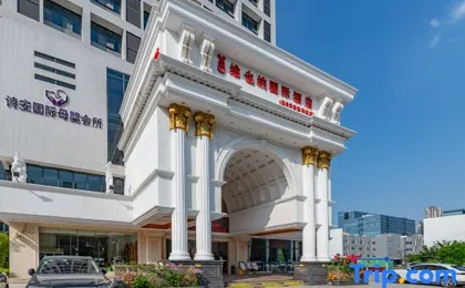 Vienna International Hotel (Shenzhen Longgang Ti'an Digital Park)