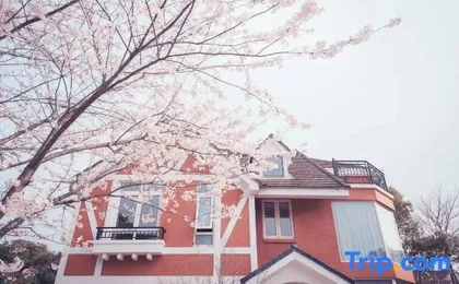 Shinehouse House (Shanghai International Resort)