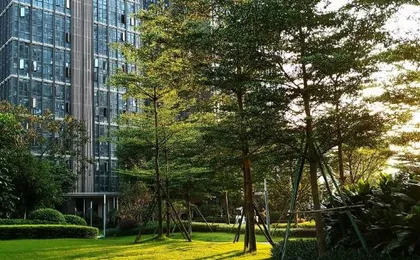 Saiwei International Apartment (Guangzhou Luogang Wanda Suyuan Metro Station)