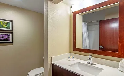 Comfort Suites Knoxville Airport