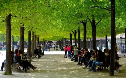 Historic Paris Apartment Steps From Notre Dame And Louvre - Limited Offer