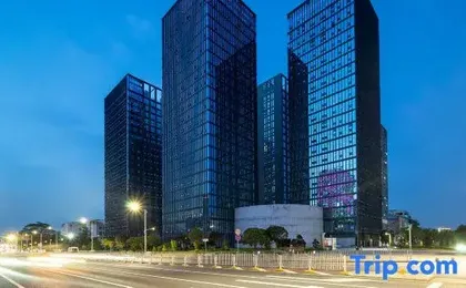 Platinum lnternational Apartemnt Shenzhen Pingshan High Railway Station Baolong Subway
