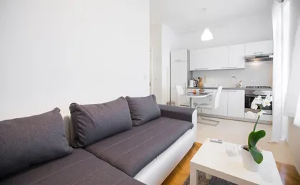 Apartment Ribnjak