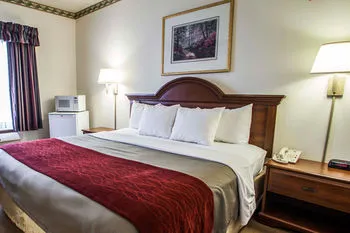 Comfort Inn & Suites Geneva