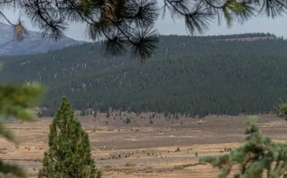 Hawk's Eye by Avantstay Cozy Condo w/ Views & Access to Northstar Resort Community