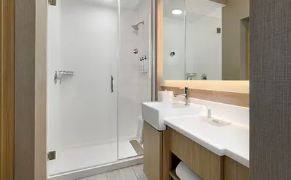SpringHill Suites by Marriott Dothan