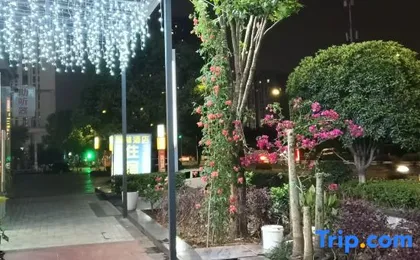 Zhilin Hotel (Beibei Caijia Subway Station)
