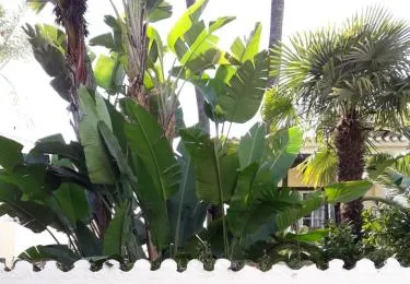 PUERTO BANUS Apartamento BOHO