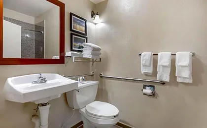 Comfort Suites Port Allen - Baton Rouge