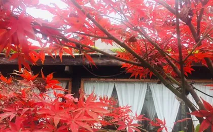 Chongqing ju Shang homestay