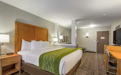 Comfort Inn Jasper South