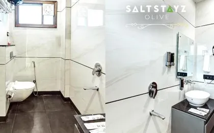 Saltstayz Premier - Pitampura
