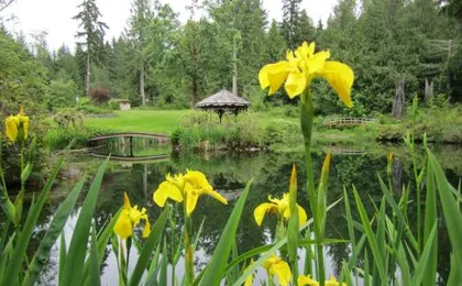 A Hidden Haven Cottages