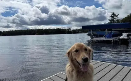 Margeson House -pet Friendly Home