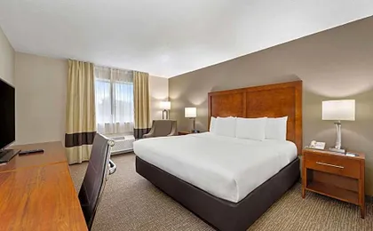 Comfort Inn Fort Myers Northeast