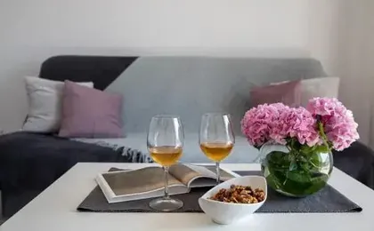Apartment Mirna
