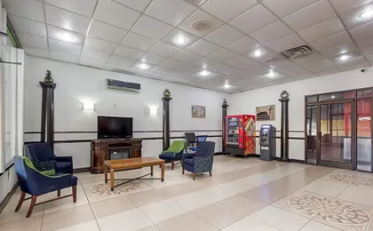 ONE LIFE STUDIOS