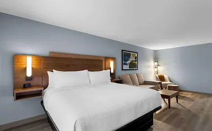 Best Western Plus Fenton
