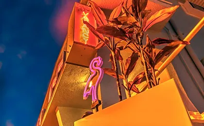 Flamingo Inn