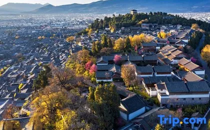 Shejian Inn (Sifang Street, the Old Town of Lijiang)