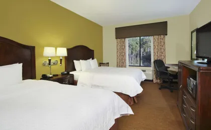 Hampton Inn & Suites Conroe - I-45 North (H)