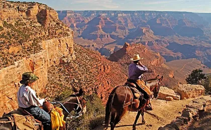 Thunderbird Lodge (Grand Canyon)