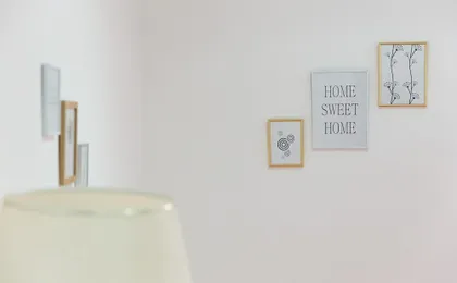 Izvijacica Suite