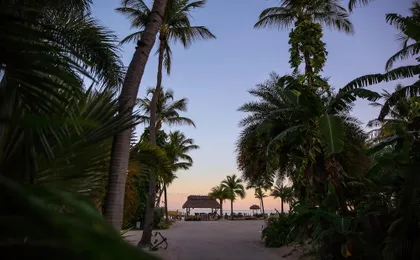 The Caribbean Resort Bird of Paradise - One Bedroom One Bath