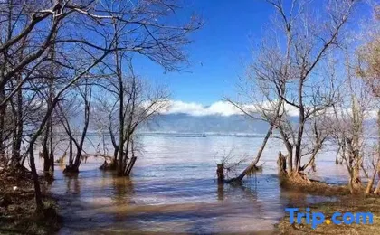 Fanhua Sea View Resort Homestay (Dali Erhai Branch)